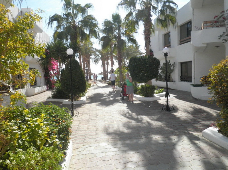 Marlin Inn Azur Resort fotoÄŸrafÄ±
