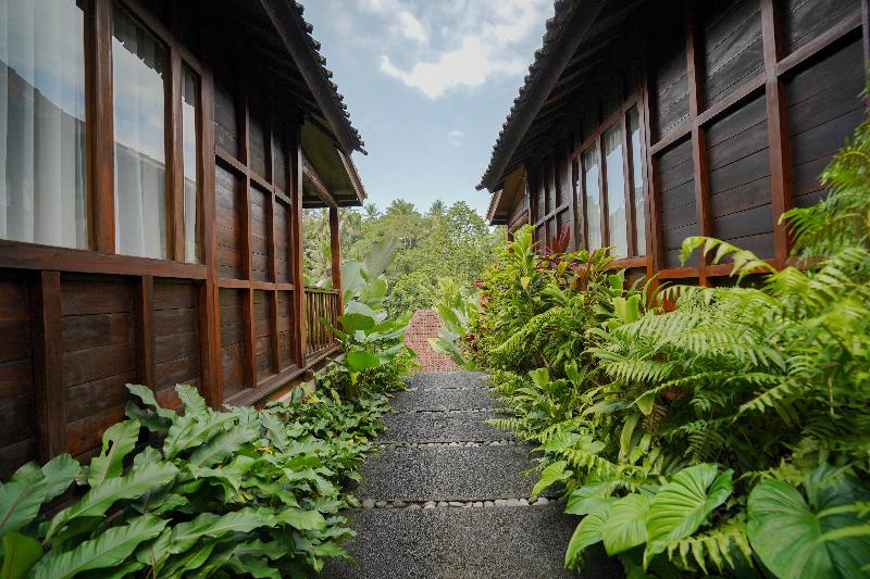Pertiwi Bisma 1 Ubud Bali - Oda