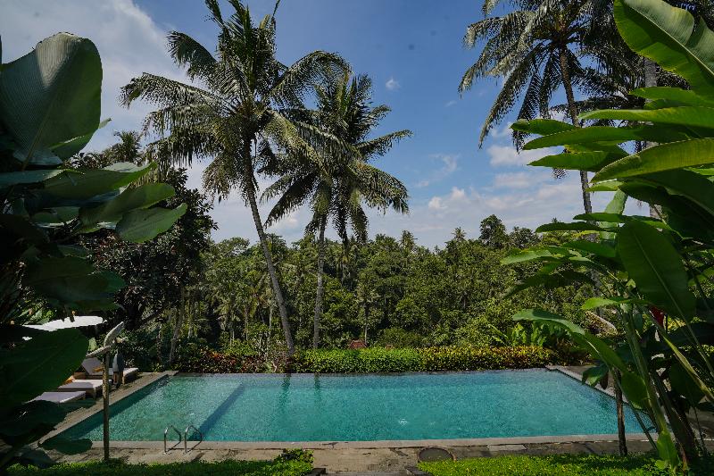 Pertiwi Bisma 1 Ubud Bali - Havuz
