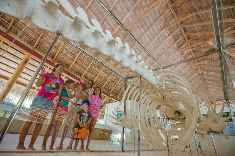 Niva Kuramathi Island Resort - Aktivite