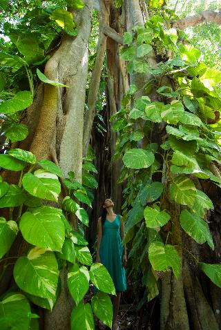 Niva Kuramathi Island Resort fotoÄŸrafÄ±