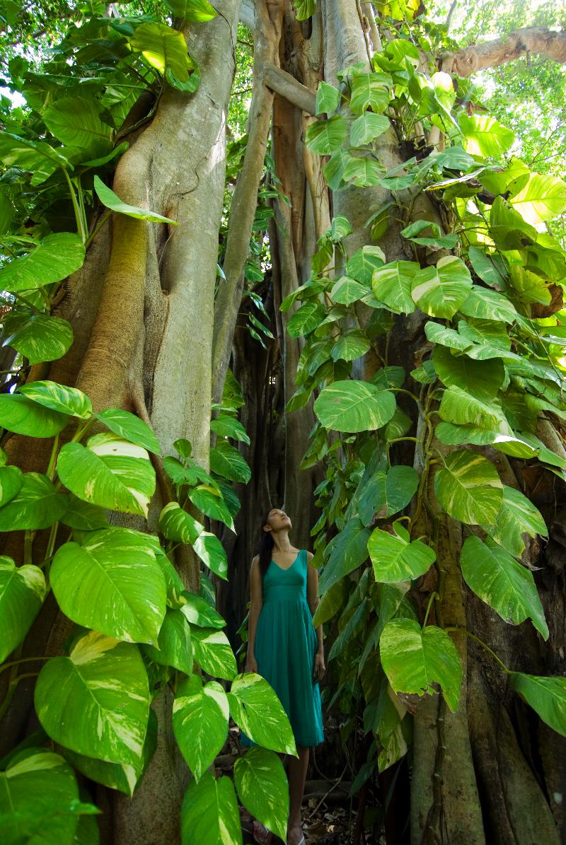 Niva Kuramathi Island Resort - Aktivite