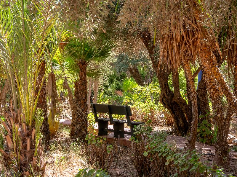 Riad Cle De Sol - Genel