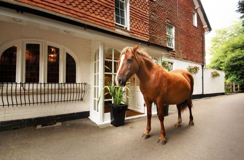 Moorhill House Hotel fotoÄŸrafÄ±