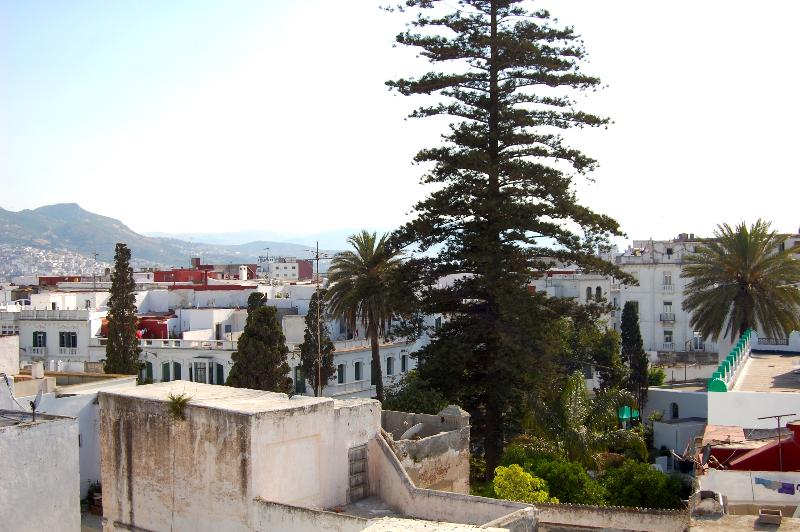 Riad El Reducto - Teras