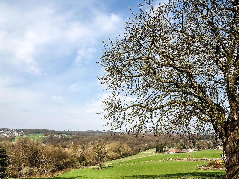 Mercure Bradford Bankfield Hotel - Aktivite