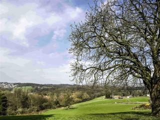 Mercure Bradford Bankfield Hotel fotoÄŸrafÄ±