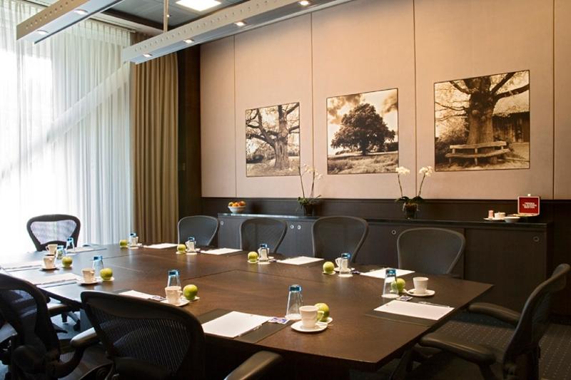 Steigenberger Airport Hotel Amsterdam - Toplantı