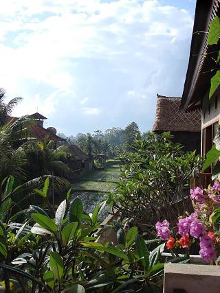 Villa Puriartha Ubud by ZUZU otel fotoğrafı