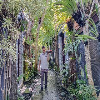The Bali Dream Villa Resort Echo Beach Canggu otel fotoğrafı
