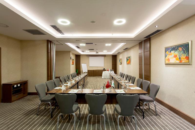 Holiday Inn ANKARA - KAVAKLIDERE by IHG - Toplantı