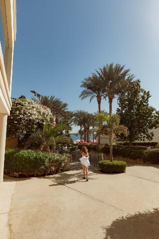 Stella Di Mare Beach Hotel fotoÄŸrafÄ±