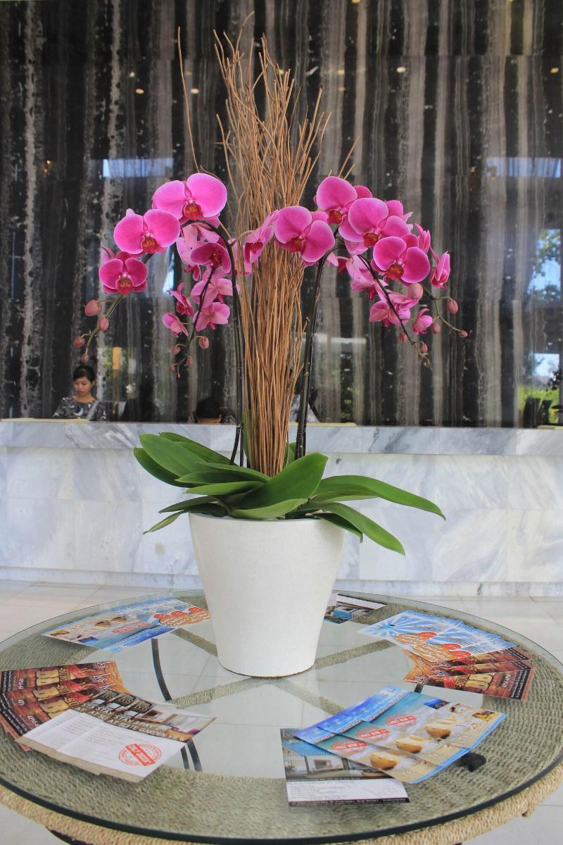 Lv8 Resort Hotel Canggu Bali - Lobi