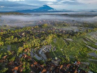 Villa Borobudur fotoÄŸrafÄ±