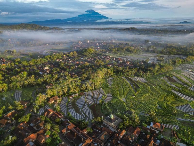 Villa Borobudur - Oda
