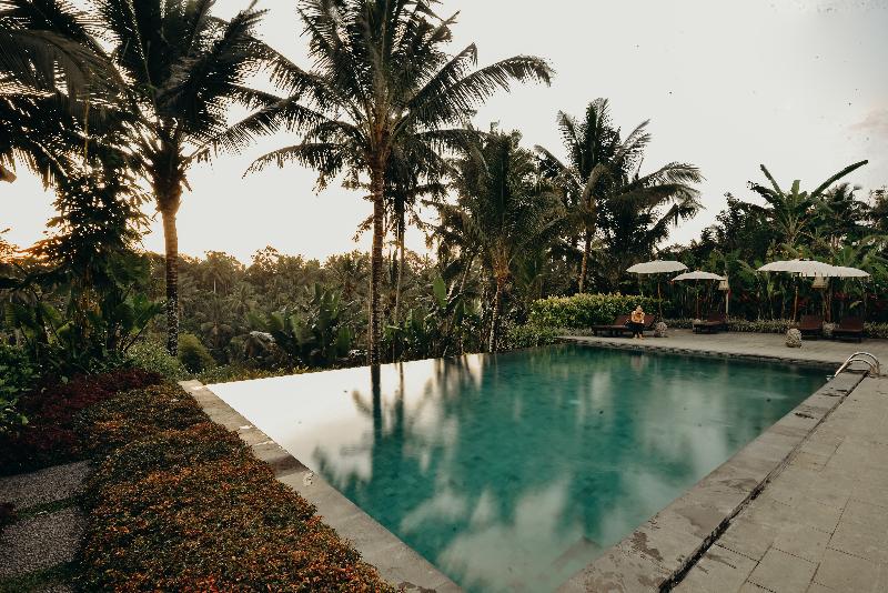 Pertiwi Bisma Ubud - Havuz