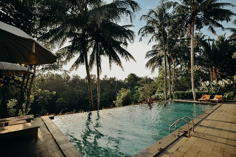 Pertiwi Bisma Ubud - Havuz
