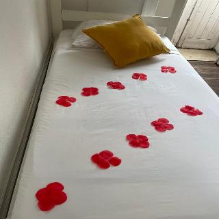 WW Hostel & Suites fotoÄŸrafÄ±