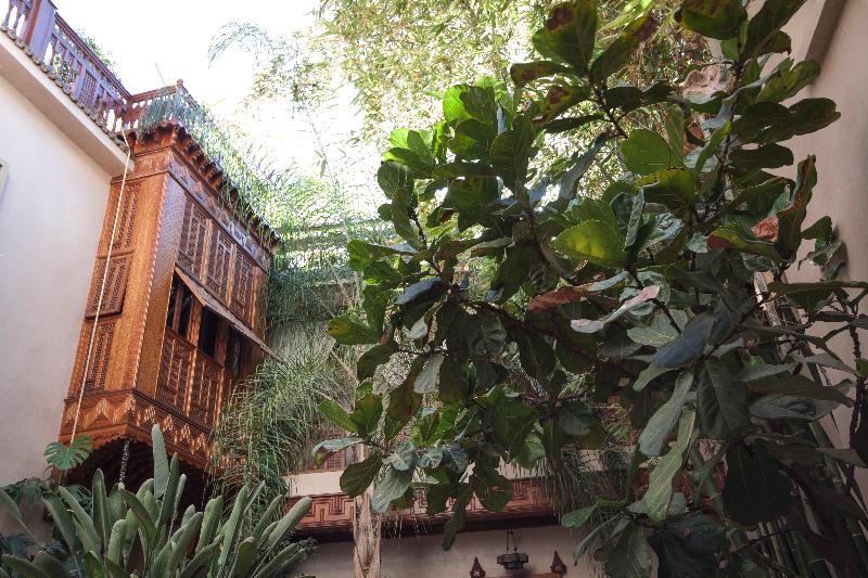 Riad Flam - Genel