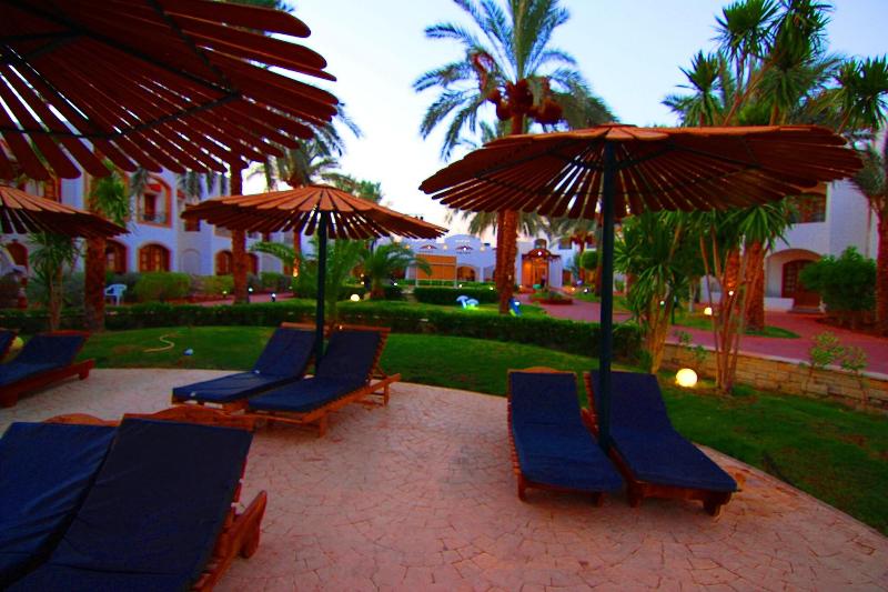 Coral Hills Sharm - Bar