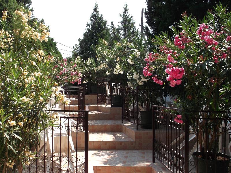 Helios Hotel Pension - Teras