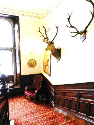 Ledgowan Lodge Hotel fotoÄŸrafÄ±