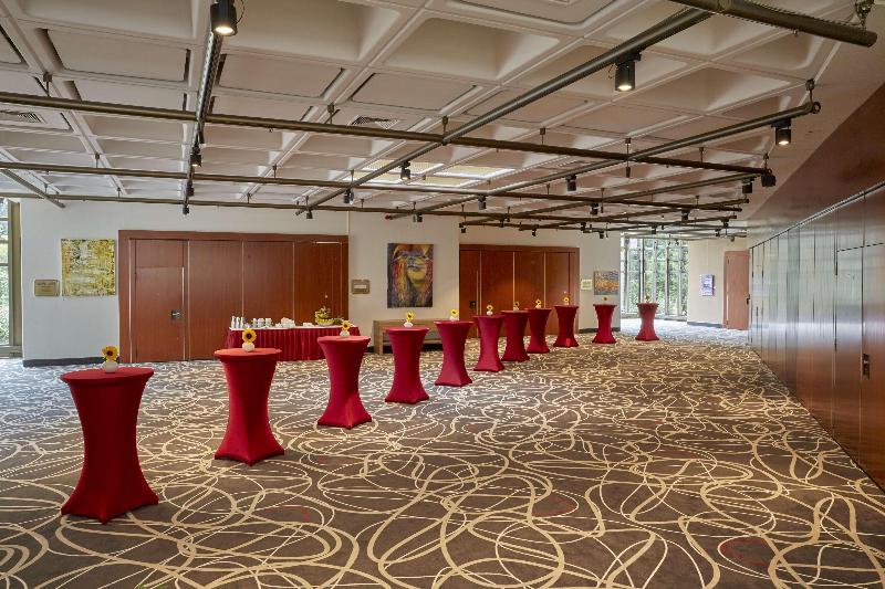 H+ Hotel Bad Soden - Toplantı