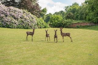 Wotton House Country Estate Hotel otel fotoğrafı