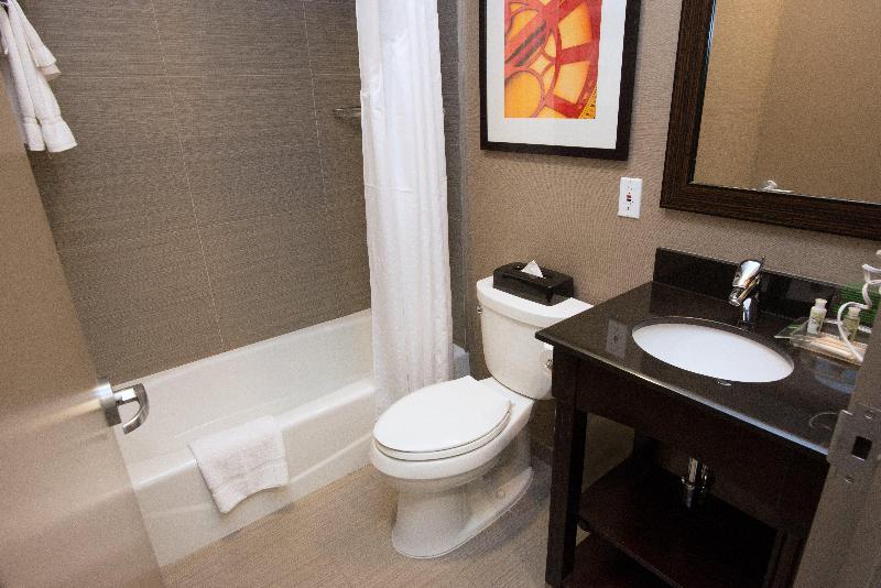 Holiday Inn NYC - Lower East Side - Oda