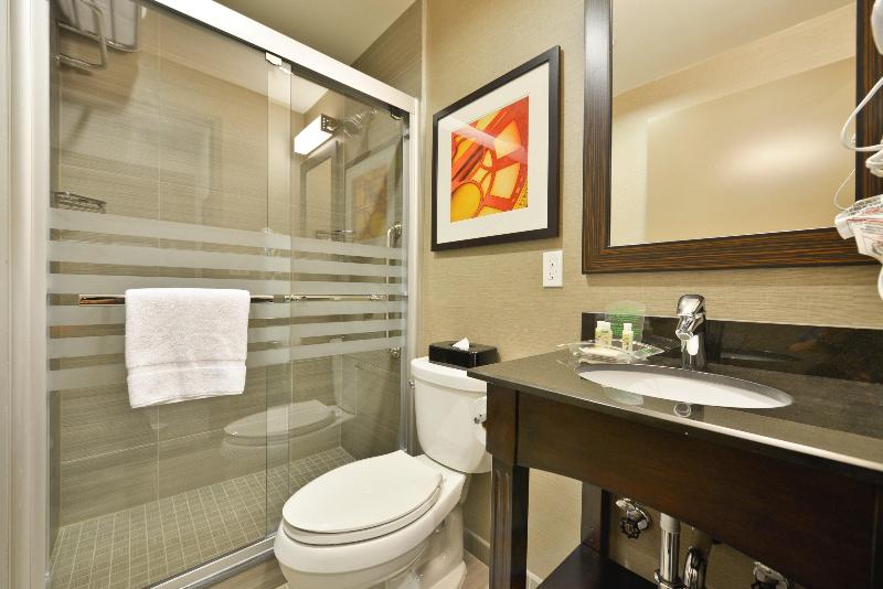Holiday Inn NYC - Lower East Side - Oda