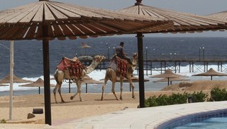 Life Resort Marsa Alam (Ex. Coral Hills) fotoÄŸrafÄ±