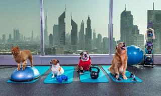 Jumeirah Living World Trade Centre Residence fotoÄŸrafÄ±
