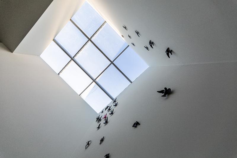 Boliqueime Boutique & Villas - Genel