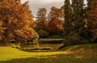 Mercure Sheffield Kenwood Hall & Spa fotoÄŸrafÄ±