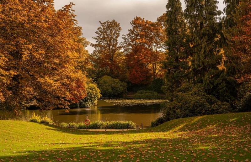 Mercure Sheffield Kenwood Hall & Spa - Genel