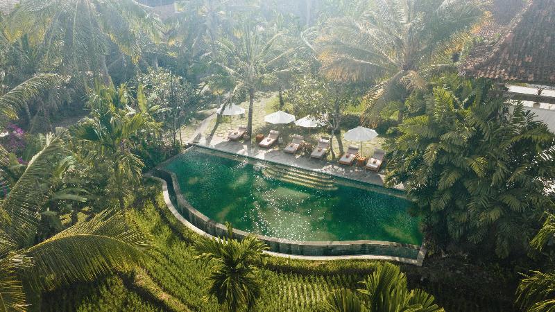 Alaya Resort Ubud - Genel