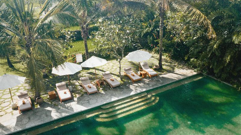 Alaya Resort Ubud - Genel