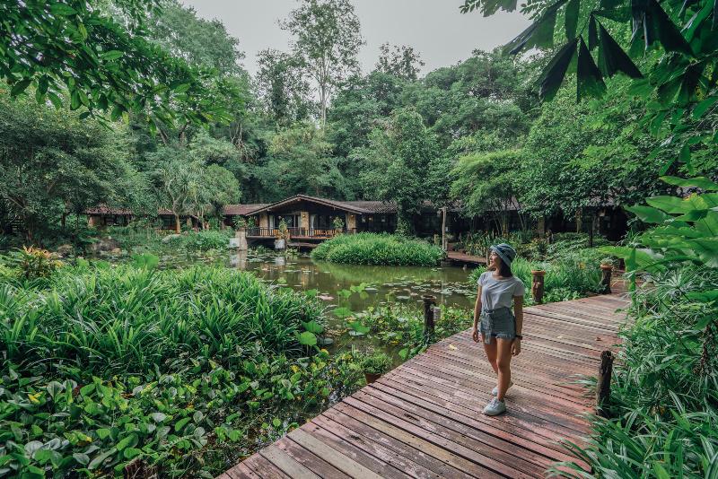 Home Phutoey River Kwai Resort - Teras