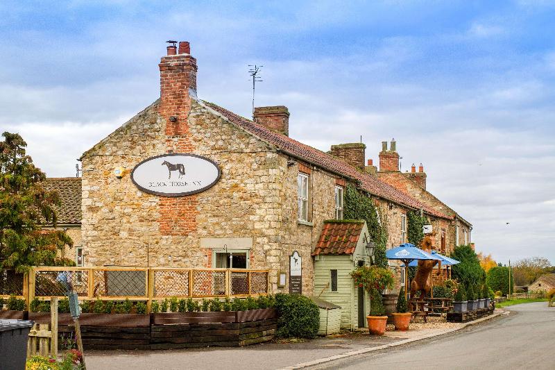 Black Horse Inn - Genel