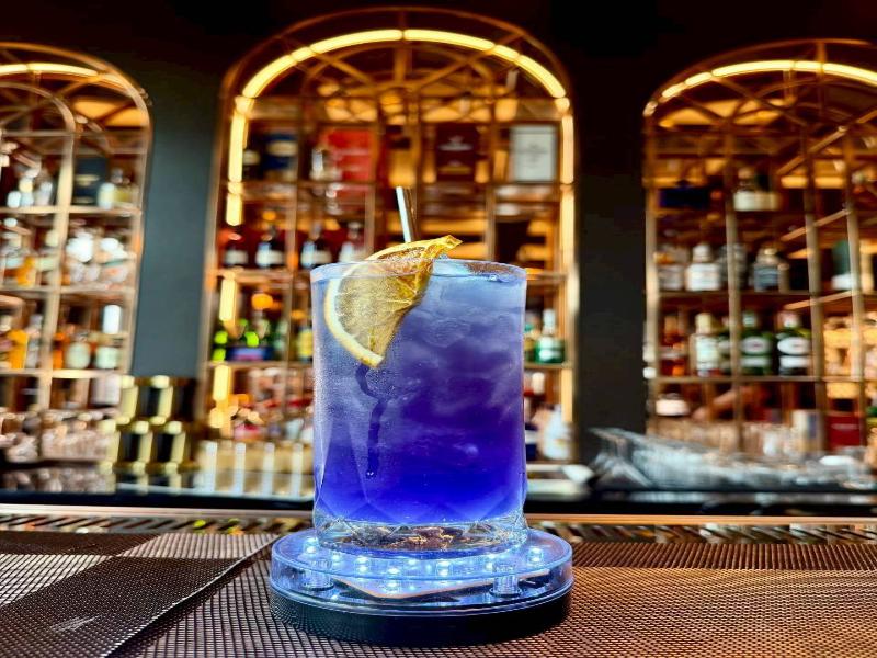 Tara Garden Hotel - Bar
