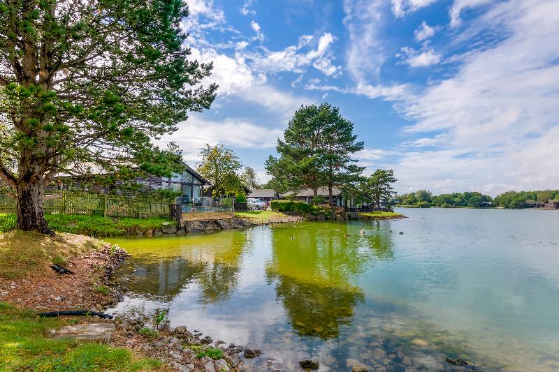 Pine Lake Resort - Genel