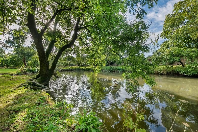 Thurnham Hall Resort - Genel