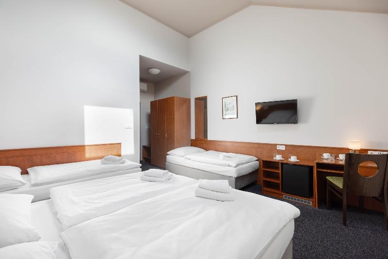 Beranek Hotel Prague - Oda