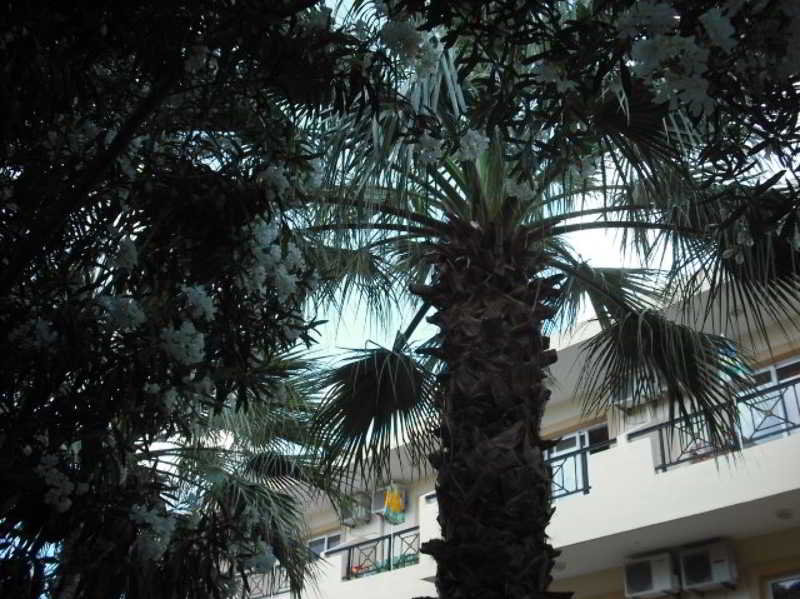 Summer Memories Aparthotel