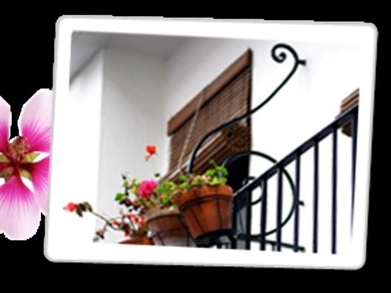 Hostal Paco Marbella