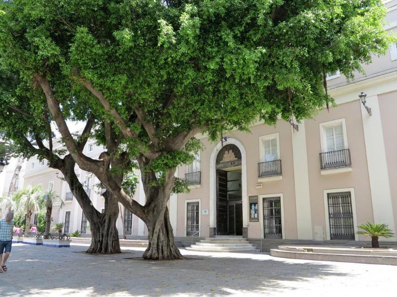 Casa Palacio Cadiz - Genel