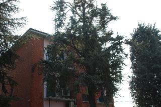Hotel Tuscolano