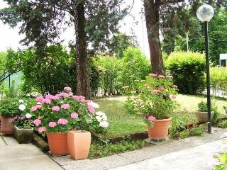 Hotel Tuscolano fotoÄŸrafÄ±