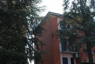 Hotel Tuscolano fotoÄŸrafÄ±