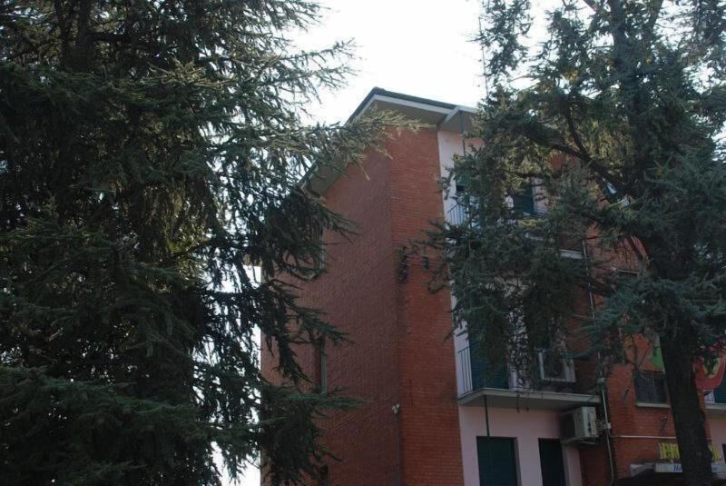 Hotel Tuscolano - Genel